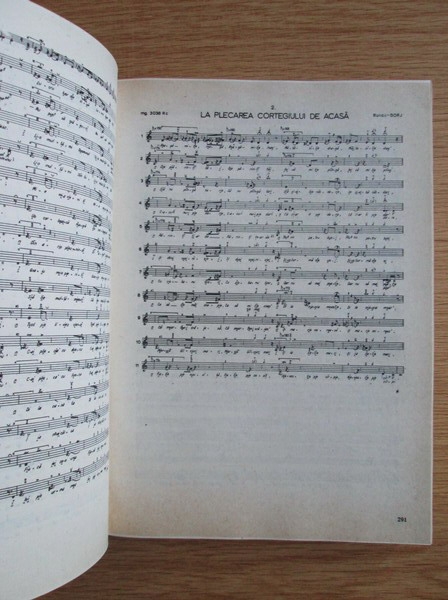 Mariana Kahane - Cantecul zorilor si bradului. Tipologie muzicala