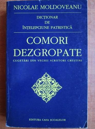 Anticariat: Nicolae Moldoveanu - Dictionar de intelepciune patristica. Comori dezgropate