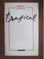 Gabriel Liiceanu - Tragicul