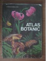 ATLAS BOTANIC (format mare)