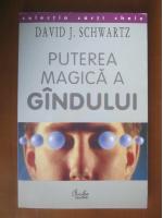Anticariat: David J. Schwartz - Puterea magica a gandului