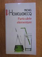 Michel Houellebecq - Particulele elementare (Top 10+)