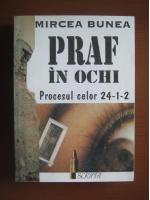 Mircea Bunea - Praf in ochi. Procesul celor 24-1-2