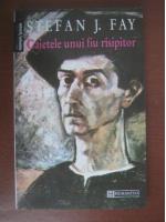 Stefan J. Fay - Caietele unui fiu risipitor