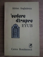 Anticariat: Adrian Anghelescu - Vedere dinspre Eyub