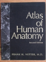 Frank H. Netter - Atlas of human anatomy