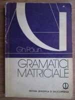 Gheorghe Paun - Gramatici matriciale