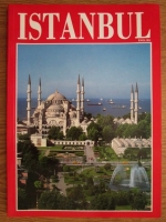 Anticariat: Yucel Akat - Istanbul