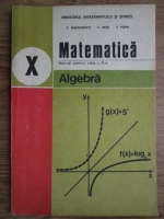 C. Nastasescu, C. Nita, S. Popa - Matematica. Algebra. Manual pentru clasa a X-a 