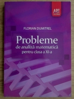 Florian Dumitrel - Probleme de analiza matematica pentru clasa a XI-a