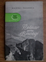 Anticariat: Andrei Pandrea - Hoinar prin Bucegi