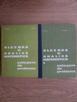 Anticariat: D. Flondor, Nicolae Donciu - Algebra si analiza matematica. Culegere de probleme (2 volume)