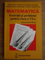 Marius Giurgiu - Matematica. Exercitii pentru clasa a VI-a