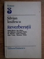 Silvian Iosifescu - Reverberatii