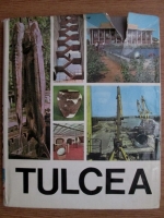 Anticariat: Tulcea