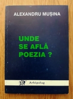 Alexandru Musina - Unde se afla poezia?
