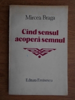 Mircea Braga - Cand sensul acopera semnul