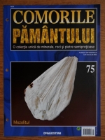 Comorile Pamantului, nr. 75. Mezolitul