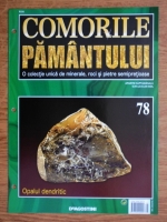 Comorile Pamantului, nr. 78. Opalul dentritic