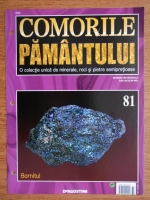 Comorile Pamantului, nr. 81. Bornitul