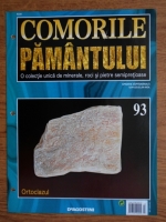 Comorile Pamantului, nr. 93. Ortoclazul