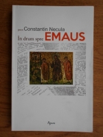 Constantin Necula - In drum spre Emaus