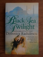 Domnica Radulescu - Black Sea twilight