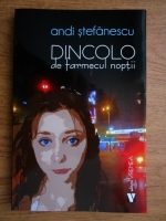 Andi Stefanescu - Dincolo de farmecul noptii