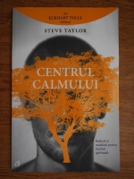 Steve Taylor - Centrul calmului