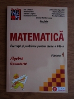 Ion Chesca - Matematica. Exercitii si probleme pentru clasa a VII-a 