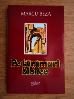 Marcu Beza - Pe taramuluri biblice. Palestina, Siria, Cipru si Muntele Sinai