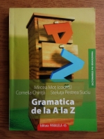 Mircea Mot - Gramatica de la A la Z
