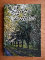 Putere zilnica