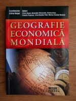 Silviu Negut - Geografie economica mondiala