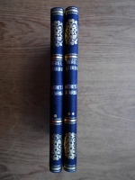 Viorel Stirbu - Ancheta de iarna (2 volume)