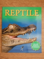 Belinda Weber - Reptile