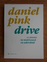 Daniel Pink - Drive. Ce anume ne motiveaza cu adevarat