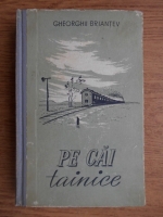 Gheorghe Briantev - Pe cai tainice