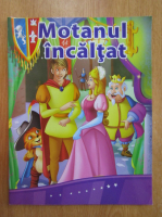 Motanul incaltat 