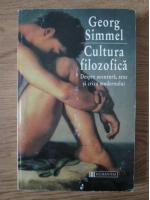 Georg Simmel - Cultura filozofica