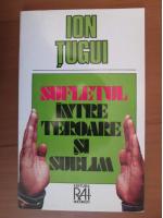 Ion Tugui - Sufletul intre teroare si sublim