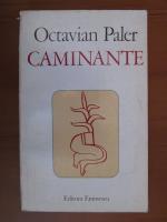 Anticariat: Octavian Paler - Caminante
