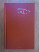 Anticariat: Octavian Paler - Don Quijote in Est