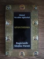 Sfantul Nicodim Aghioritul - Apanthisma