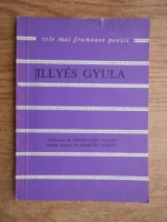 Illyes Gyula - Poetul si porumbelul