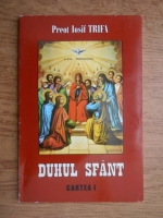 Iosif Trifa - Duhul Sfant (volumul 1)