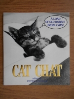 Peter Fincham - Cat chat