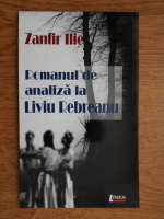 Zanfir Ilie - Romanul de analiza la Liviu Rebreanu