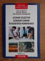 Adrian Miroiu - Actiune colectiva si bunuri comune in societatea romaneasca