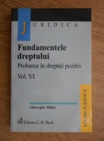 Fundamentele dreptului. Probarea in dreptul pozitiv (volumul 6)